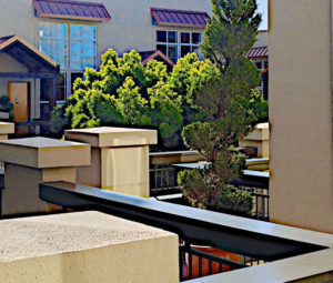 Upstairs courtyard intense